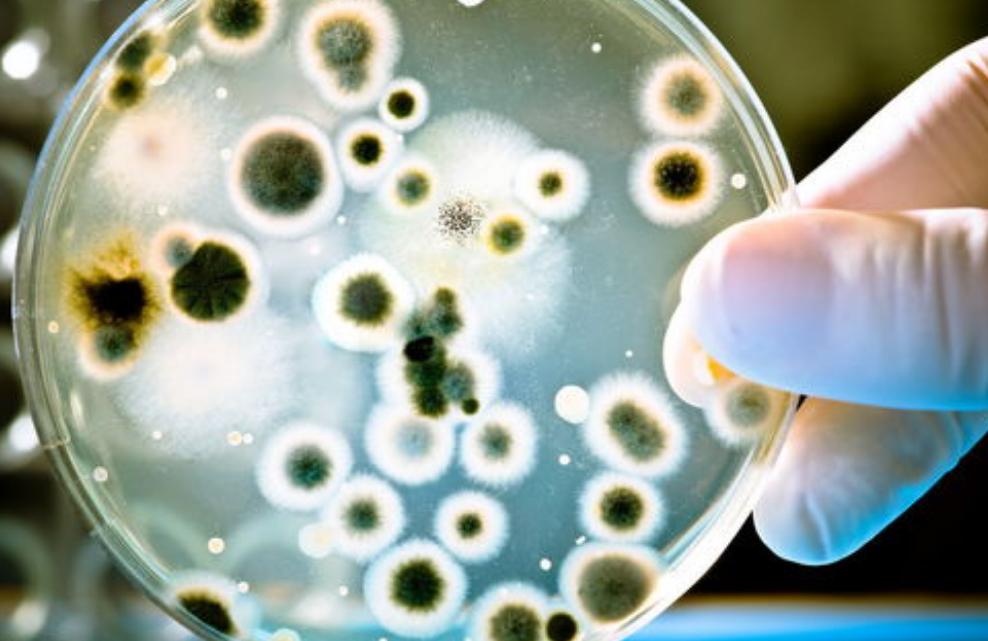 女生身体这处有异味要当心,女性异味太重可能诱发哪些疾病