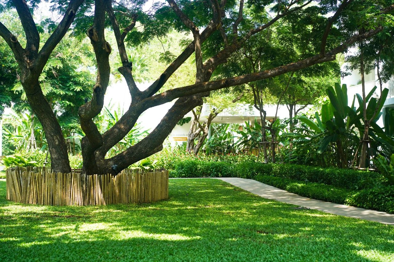 泰国华欣2日游,到泰国华欣旅游