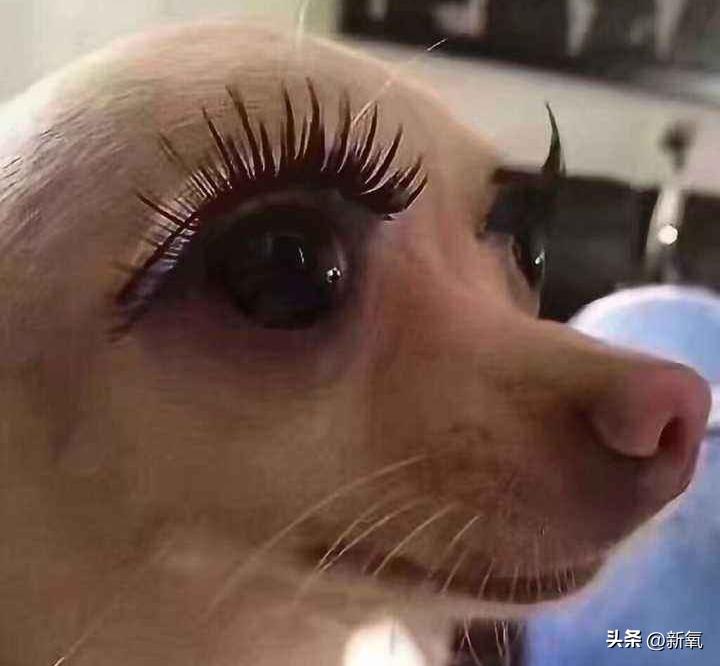 鞠姐红衣造型,鞠姐同款妆容