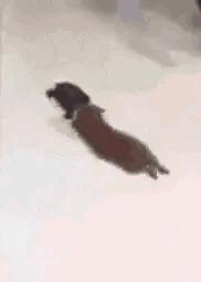 伴娘抢了新娘风头躲角落,伴娘躲在角落玩手机很漂亮