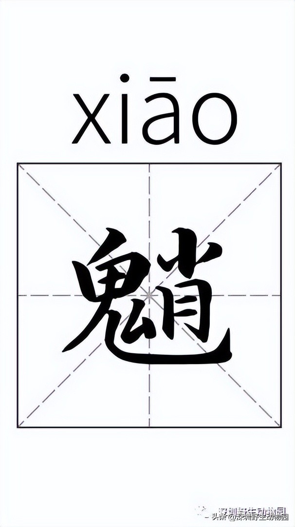 苗鸟怎么读,苗疆蛊事