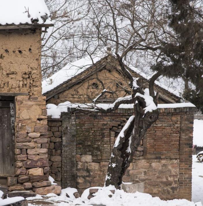 数九俗称交九,数九到九九有什么说法