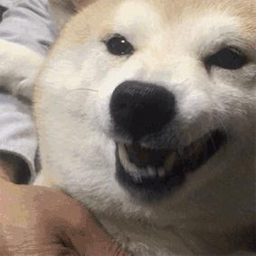 有创业项目没钱咋办,缺钱创业公司股权最佳分配方案