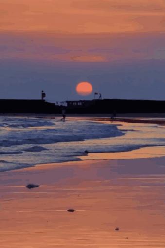 这座岛究竟有何神奇之处,怎么玩海陵岛不踩坑