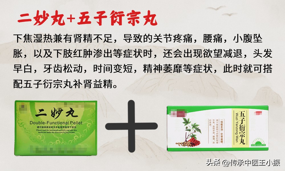 二妙丸搭配什么祛湿,清热利湿二妙丸