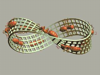 4维空间已被证明真实存在,4维空间被证实存在人进去会怎样