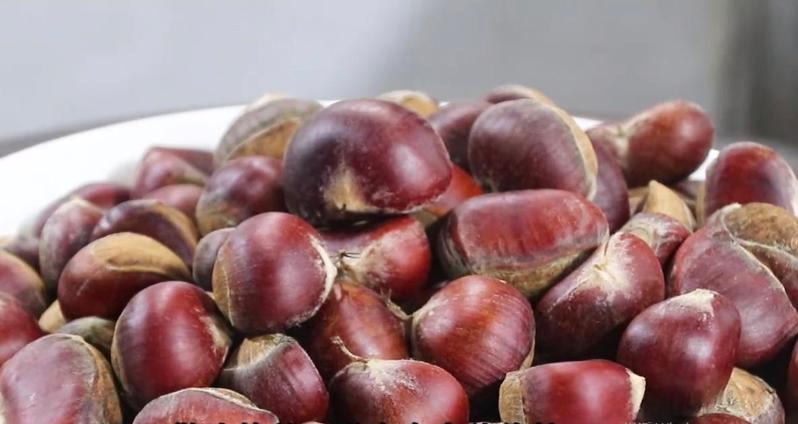 冬天吃什么暖身驱寒又不上火菜谱,老人春天暖胃食物