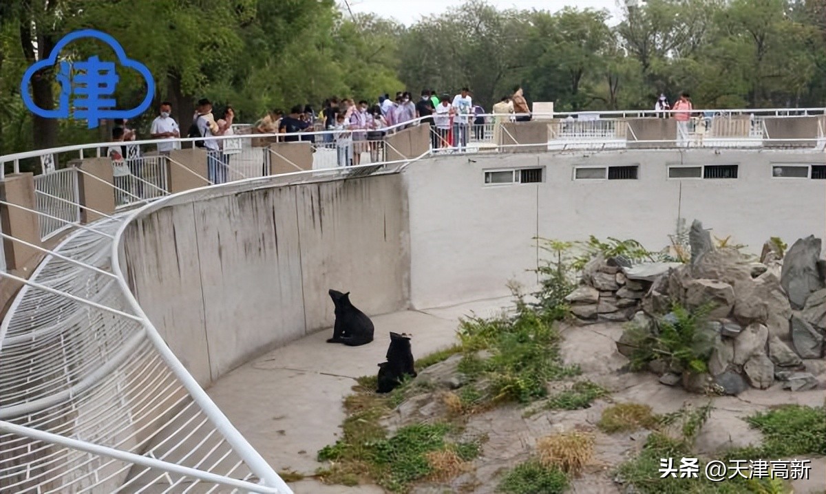 鲜花朵朵祝福祖国天津这些公园逛起来简直太美啦