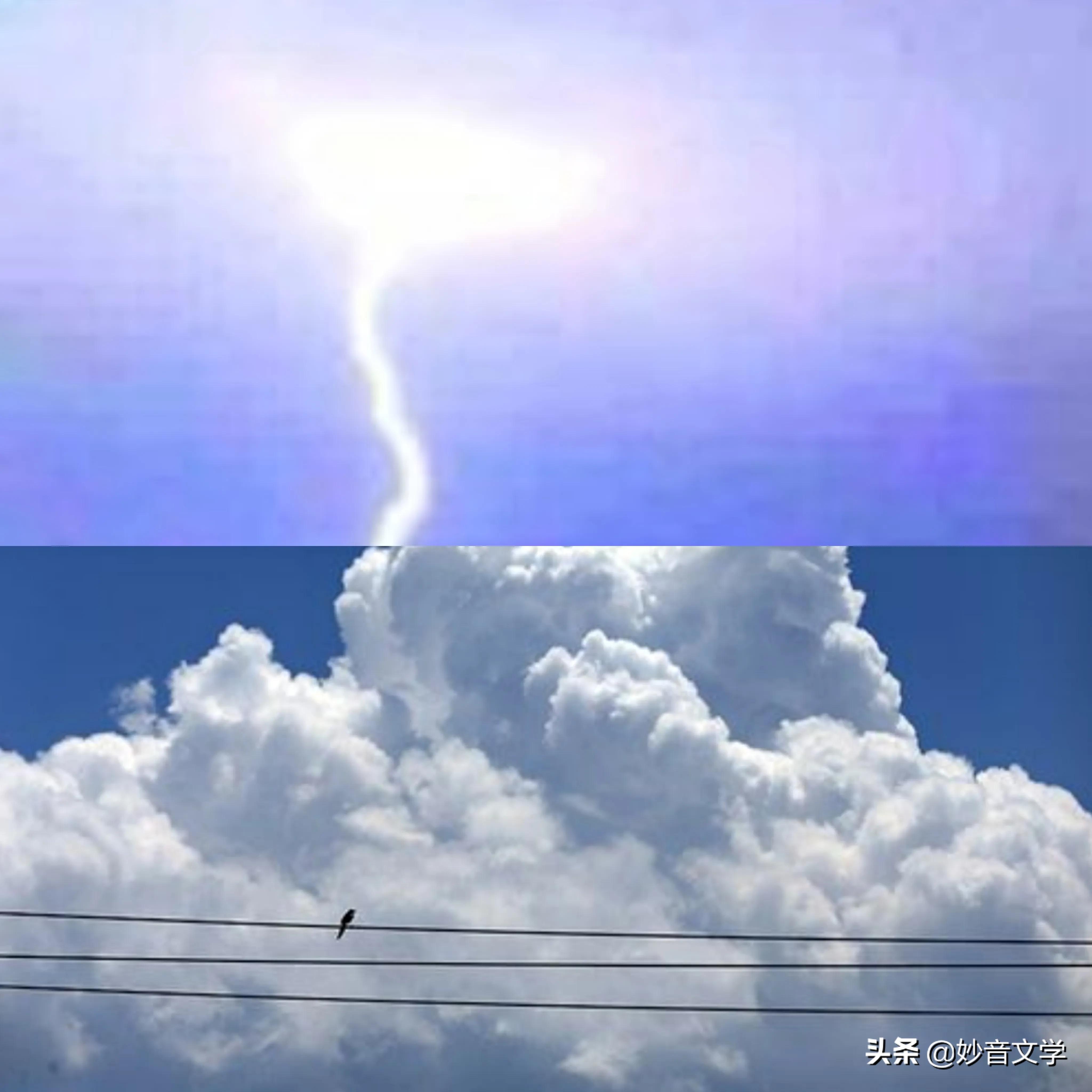 现代诗小草（外二首）●作者：谢云峰（江西）