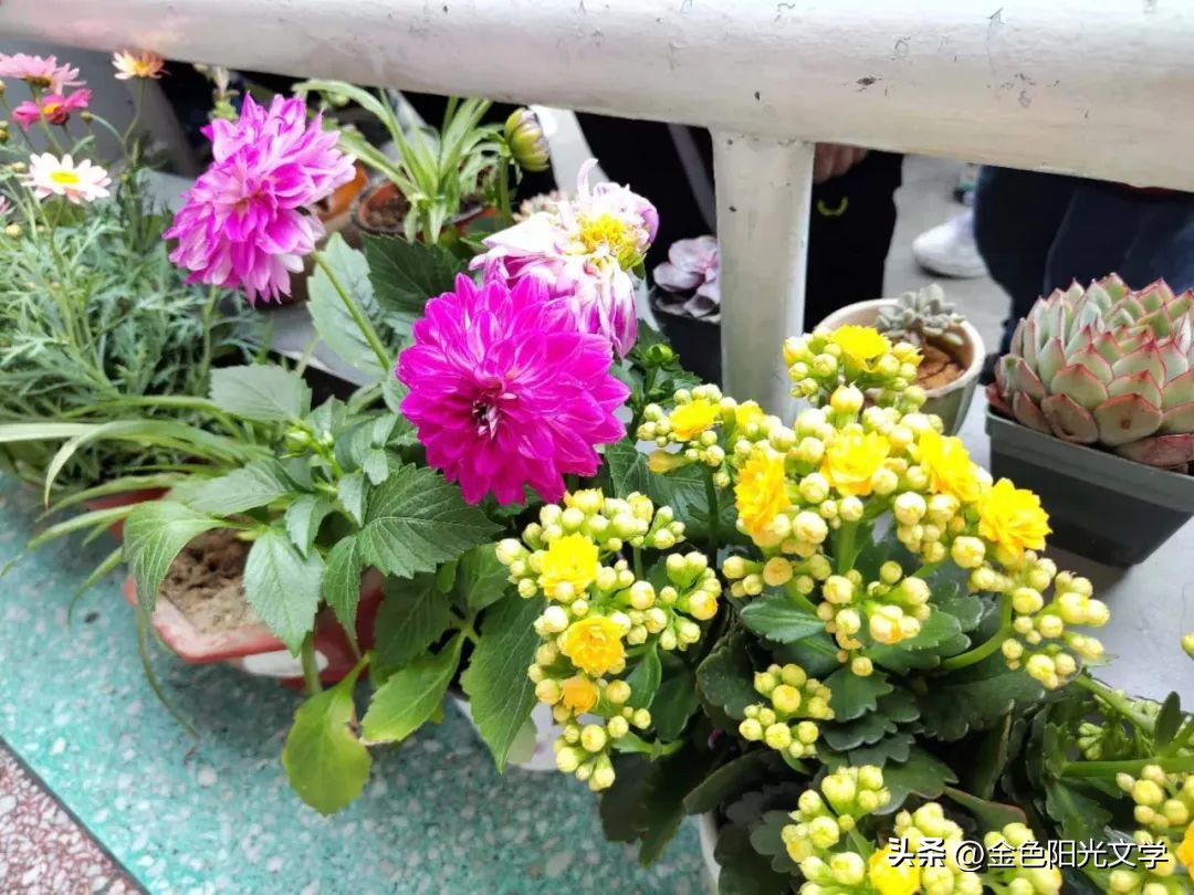 从冤家到朋友,从冤家到好朋友