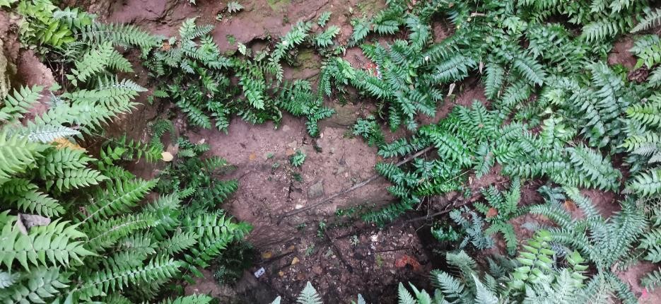 山顶洞人的原始生活,山顶洞人生活在距今约多少万年前