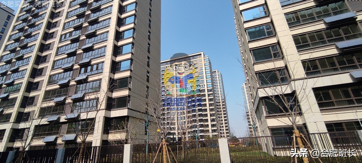 大力开发的滨湖西成色如何，班长跑遍16个项目带你看真实的板块