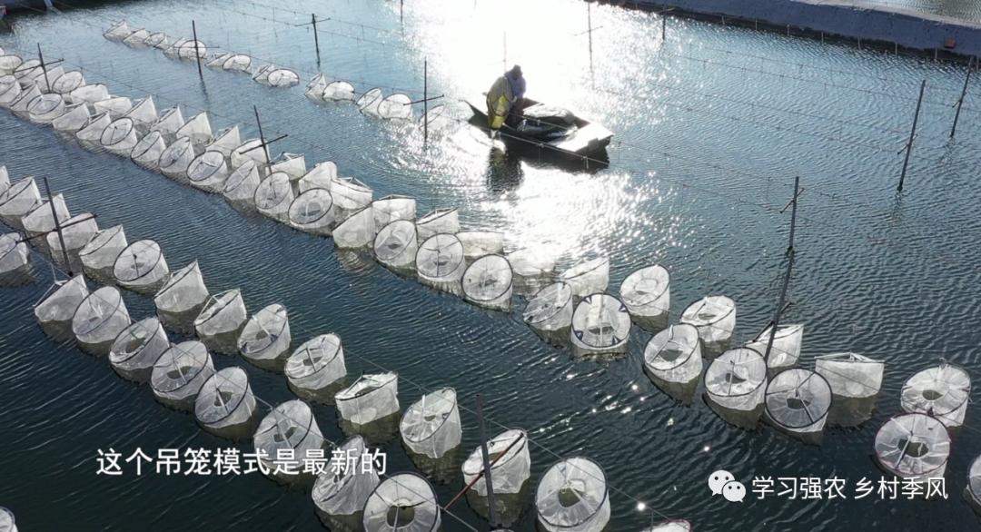 王振民的“蛭”富经