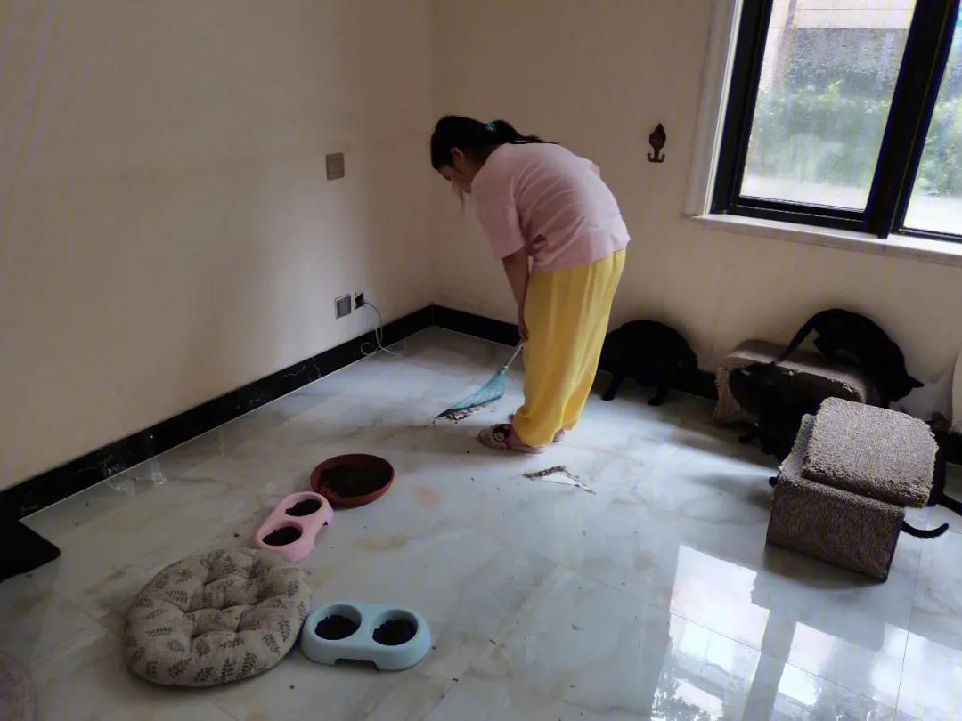 男子腹痛难忍夹出8条活虫,阴虱会寄生人体其他部位吗