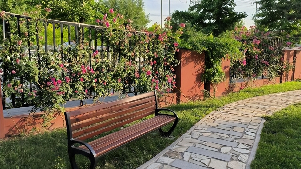 荣耀60和荣耀70应该怎么选择,荣耀70与荣耀60对比谁值得买