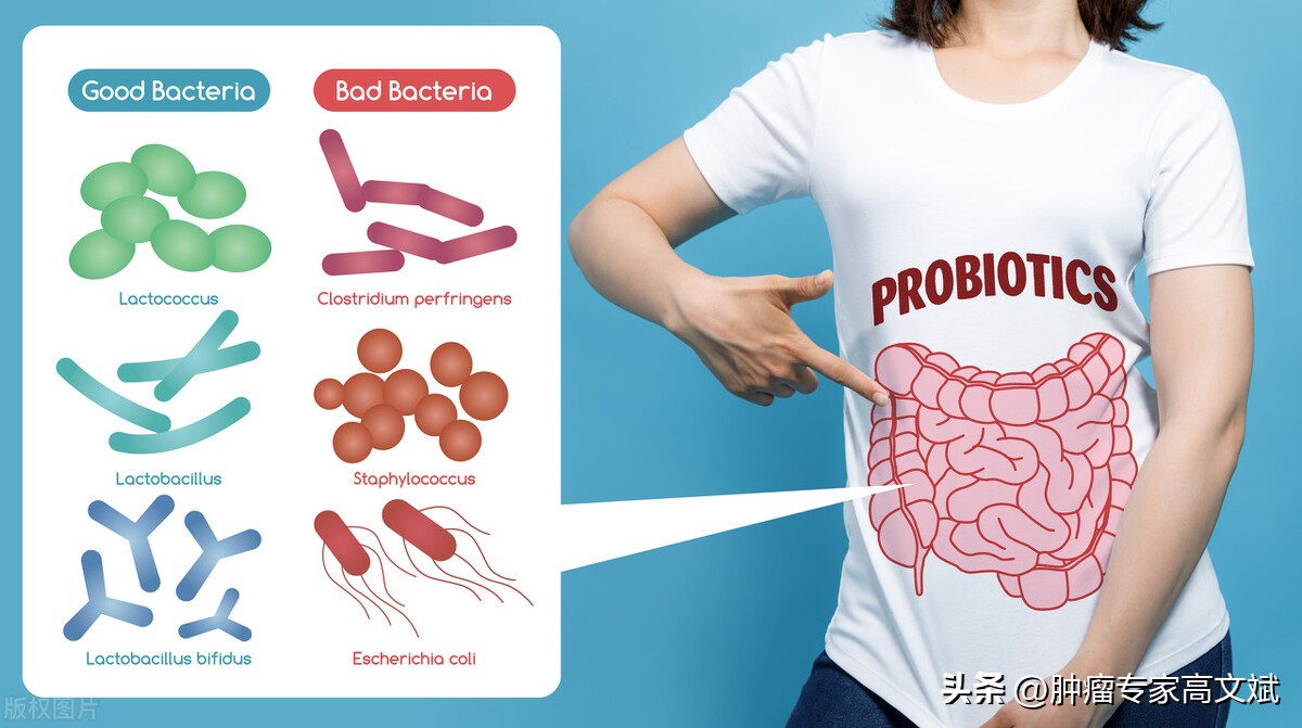 益生菌果蔬粉有什么益处吗,益生菌会对胃有好处吗