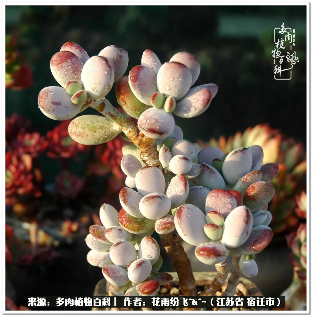 快乐的童年时光视频,回味快乐的童年美好的时光