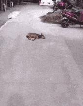 纹身为什么要三思而后行,颈部纹身三思而后行