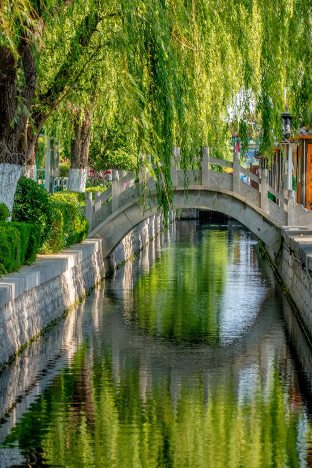 最近济南热门打卡地,济南景区火爆出圈