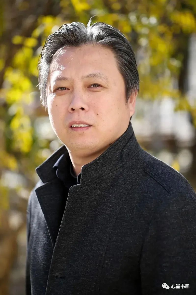 杨健君书法真迹,杨健君书法教程