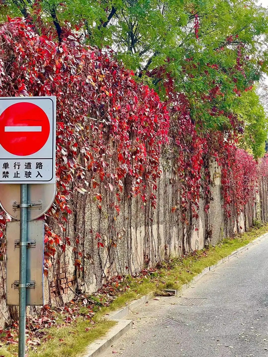 青岛纺织谷旅游攻略,青岛最近纺织谷拍什么