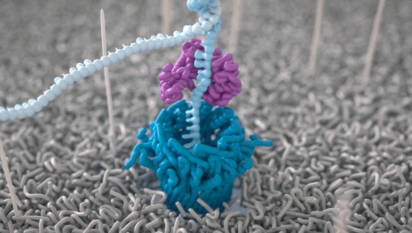 电脑插个“U盘”就能给基因测序，实时查看结果，售价1000美元