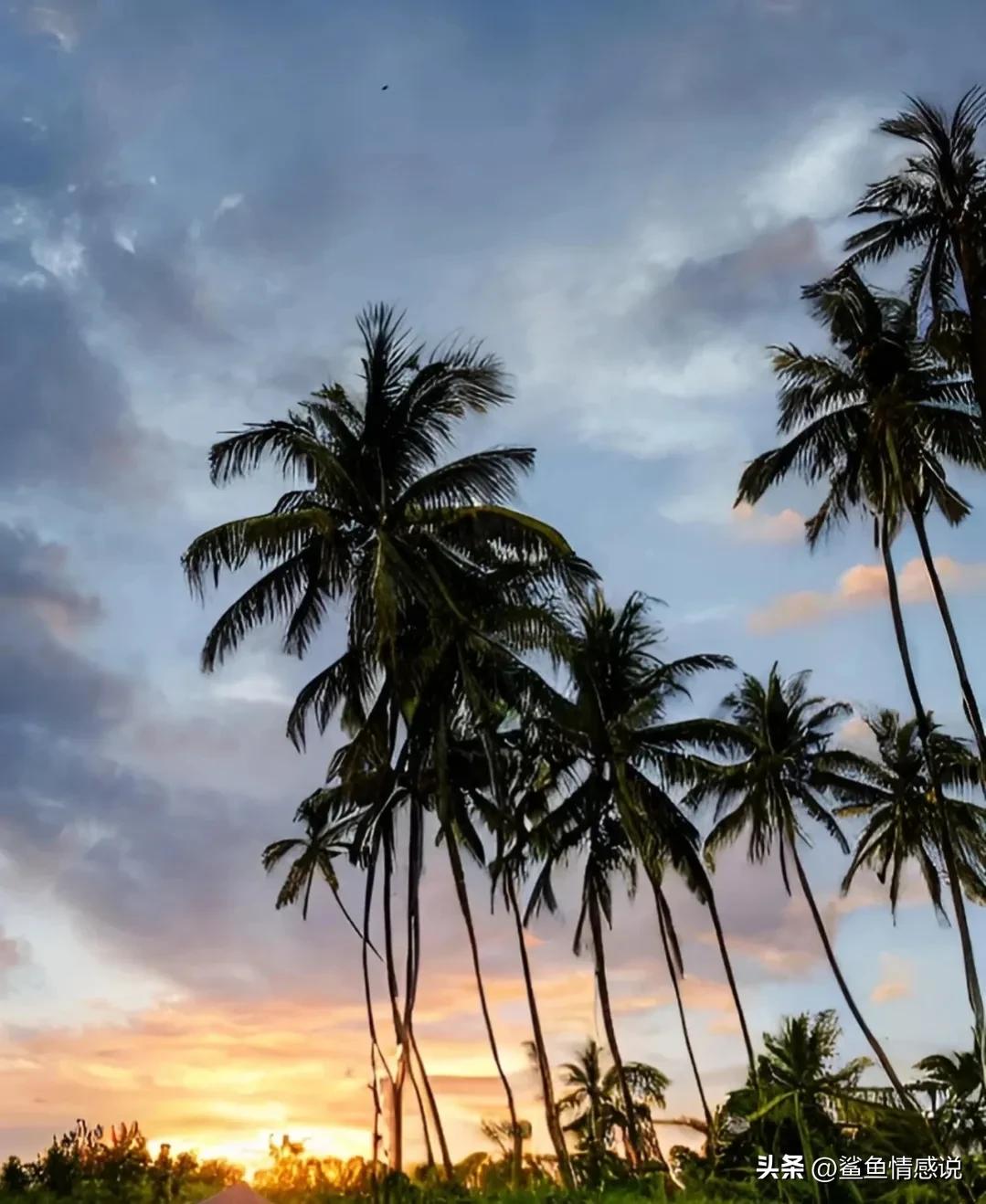 爱情和友谊对你来说意味着什么,爱情出现这四种情况就别坚持了