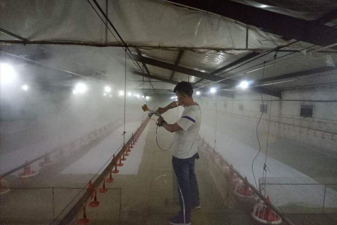 野猪养殖技术资料有哪些,3万元的野猪养殖技术