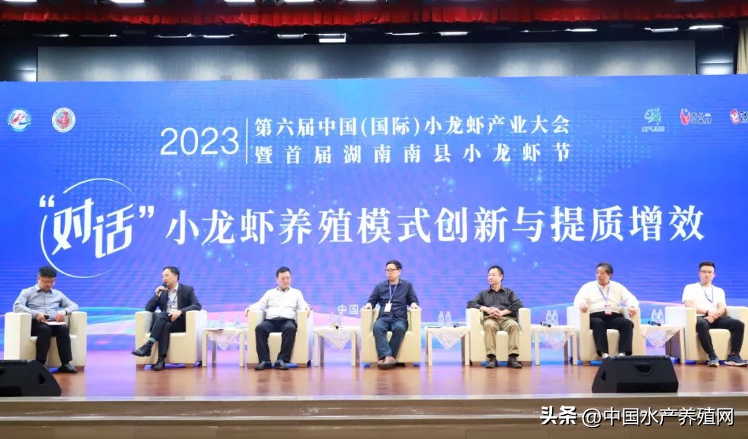 2023年南县小龙虾价格行情,南县小龙虾价格报价