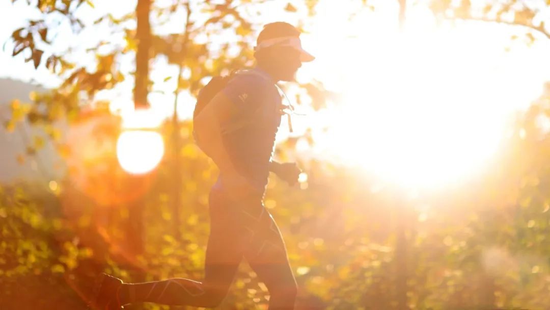 诗词正能量语录励志,十首励志诗词不负青春不负自己