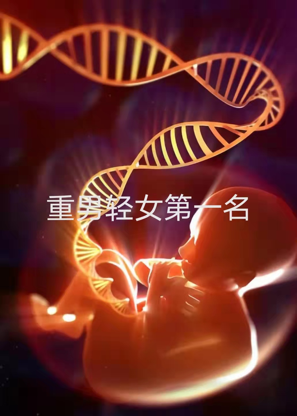 y染色体单倍群,y染色体单倍群什么意思