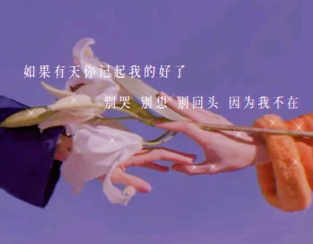 鍒摥鍒椆鍒洖澶存垜涓嶅湪鍥剧墖,鍒摥鍒兂鍥炲ご鎴戜笉鍦ㄨ儗鏅浘