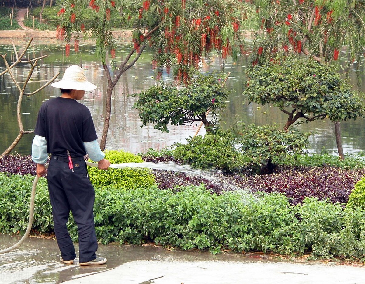 城阳正阳路劳务市场,城阳国货劳务市场怎么样