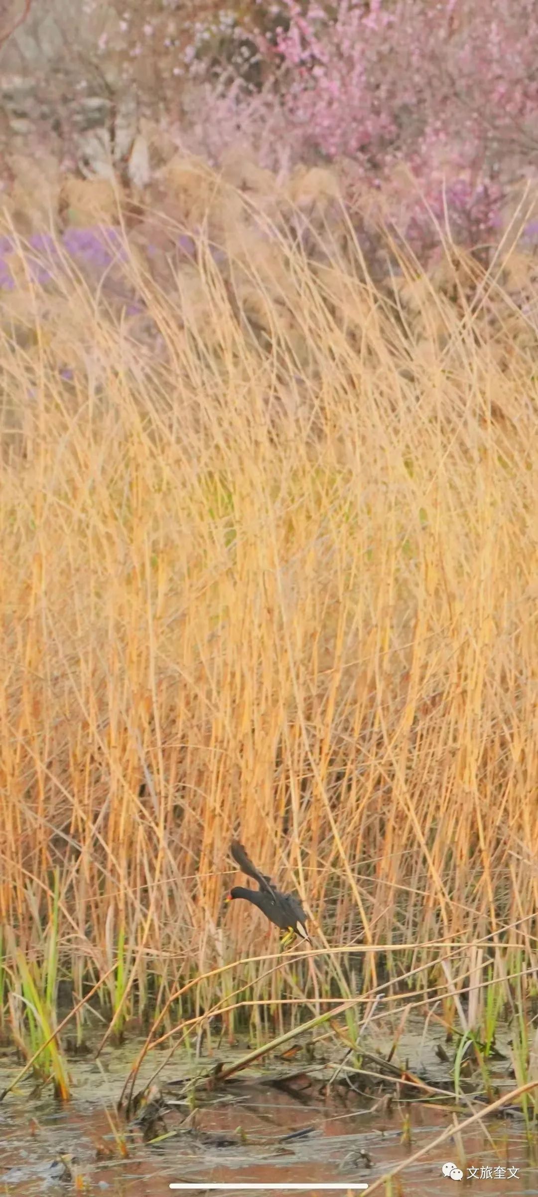 周末徒步免费景点攻略,此生必打卡的山跟徒步路线