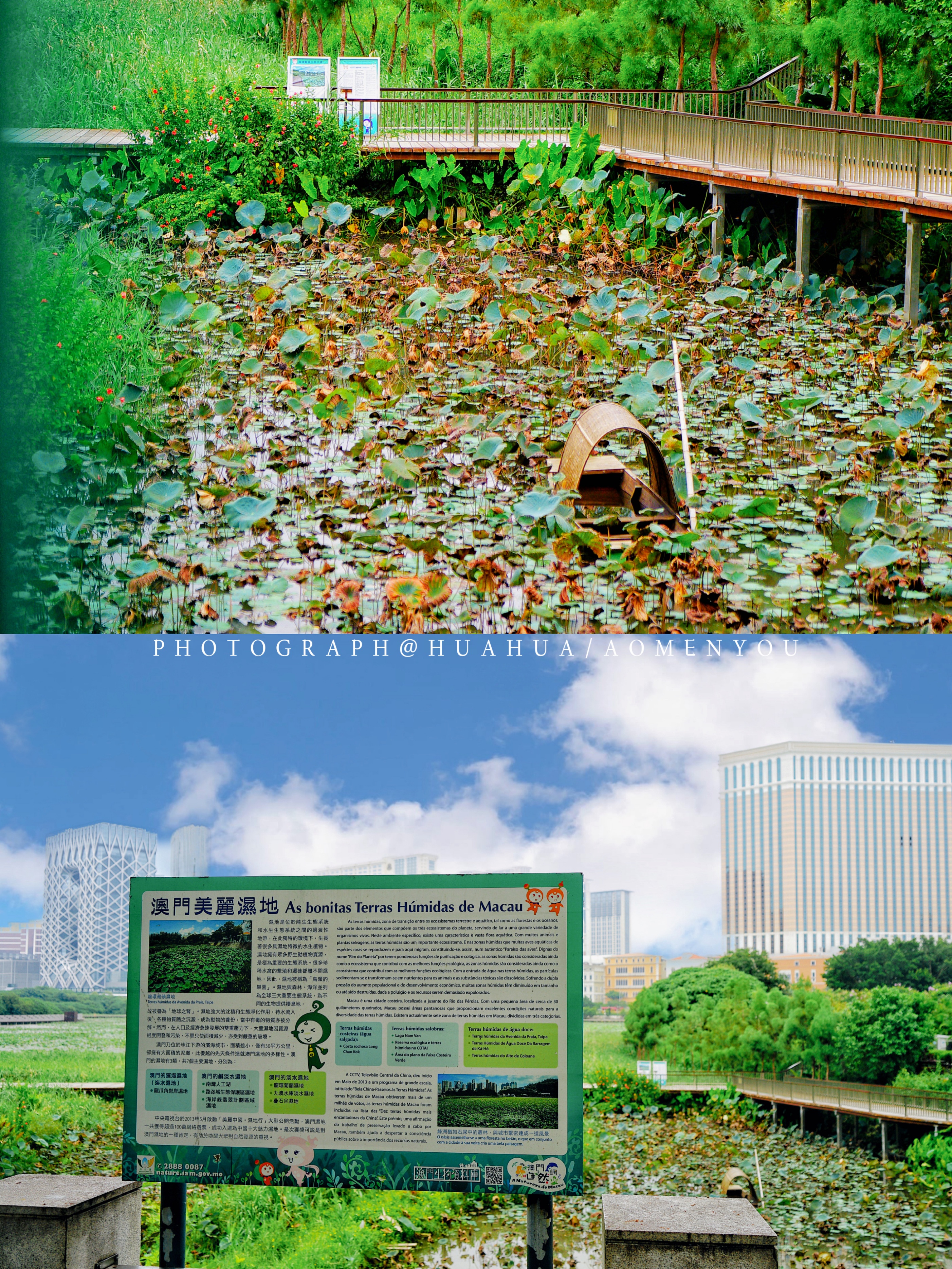 澳门旅游攻略自由行五一,澳门旅游攻略自由行一天夏天