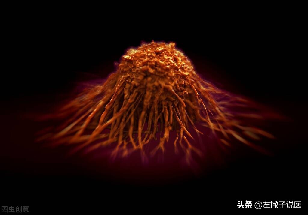 洋葱是生吃还是熟吃降血糖好,洋葱对降脂的功效