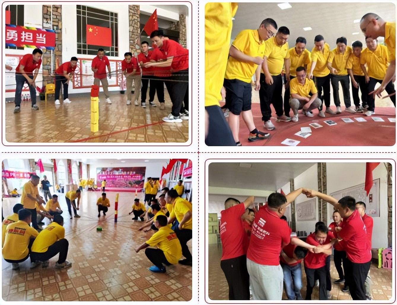 迪斯科集团,迪斯科集团公司