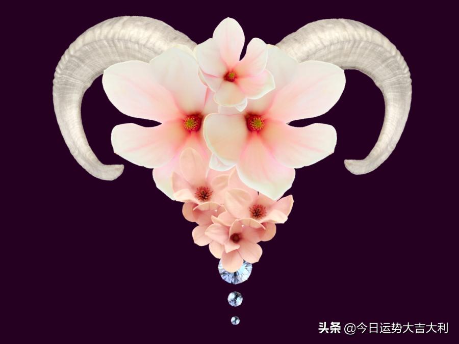 12星座2021年12月份的星座运势,2023年12星座哪种运气最强