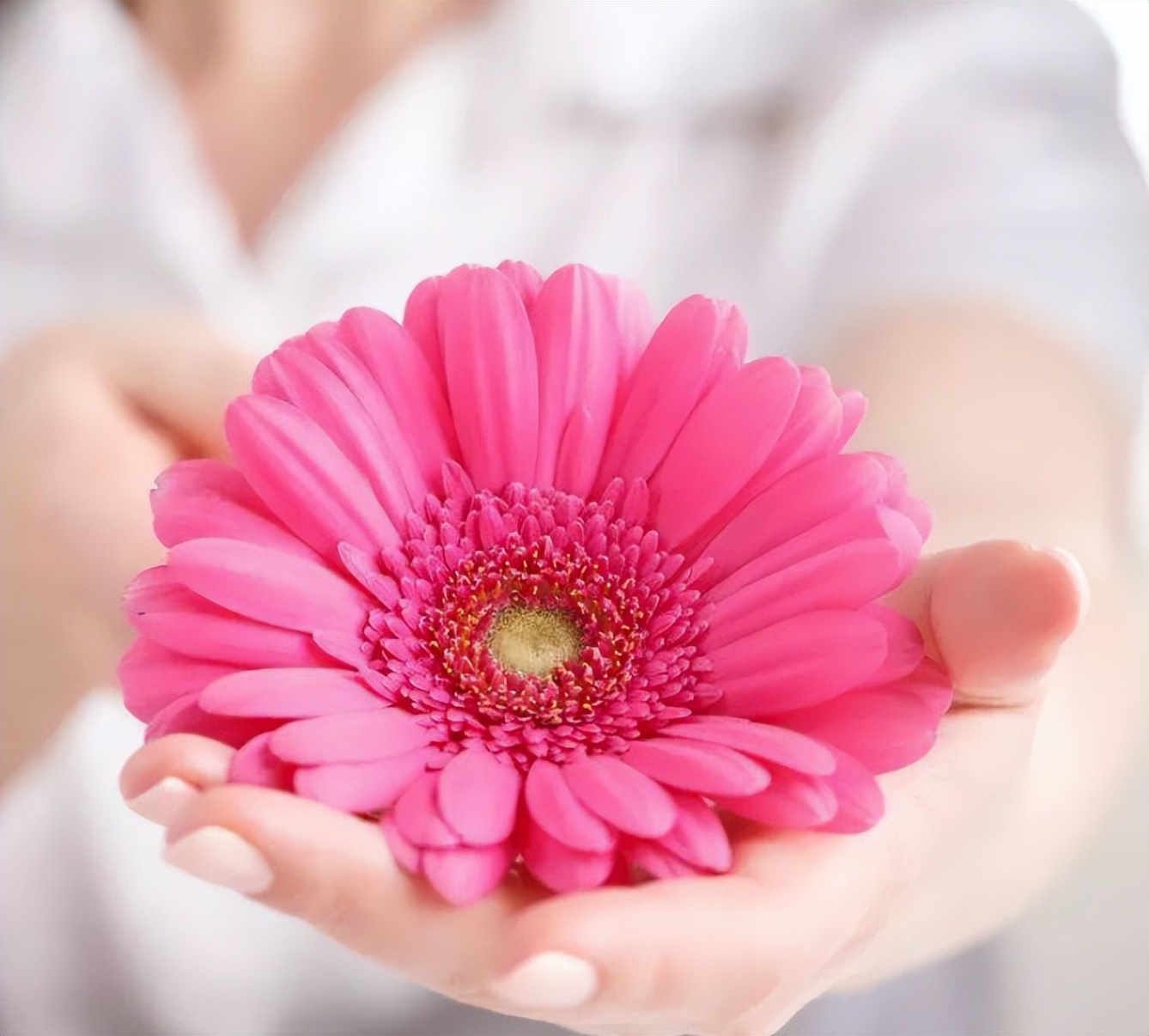 女性心窝口偏右烧灼感痛怎么回事,女性下边有烧灼感伴有尿频