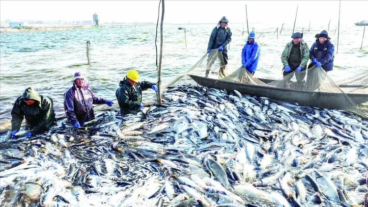 继仁爱礁事件后，美国卫星发现，中国在中建岛填岛速度变快了