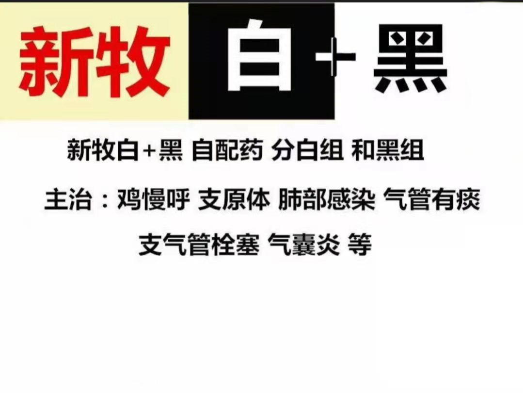 鸡的体温多少度是发高烧,鸡发热不消化用什么药