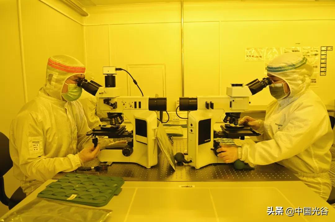 东湖高新区上市金种子企业,湖北金种子上市名单