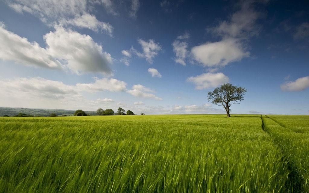 做影视自媒体的必备网站工具,做自媒体必备的技能