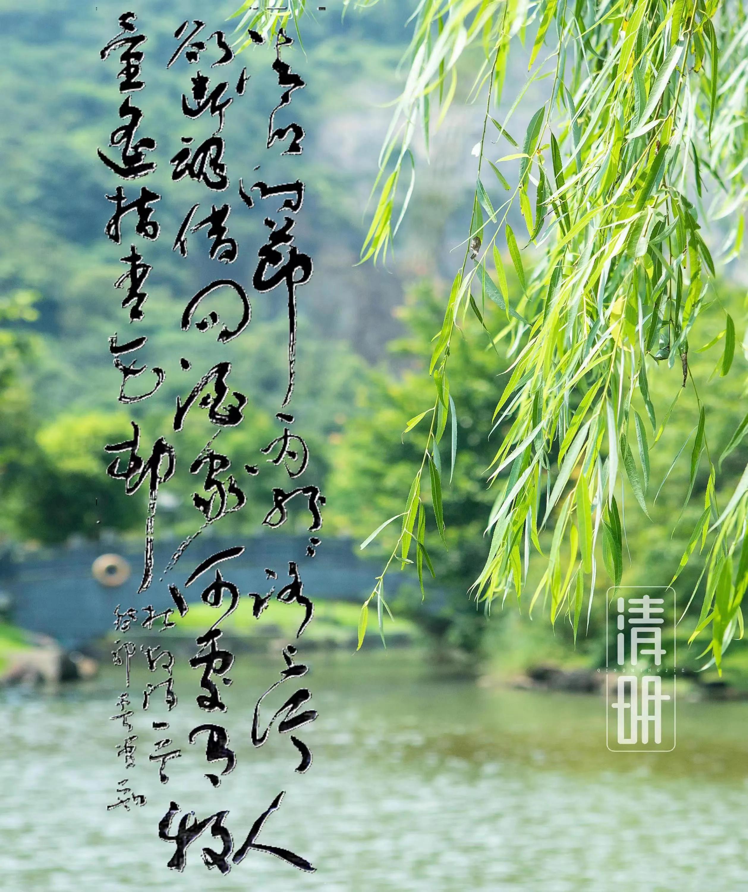 西子畔诗文社0336期，莺栖翠岭欢歌吵，满目生机春意闹