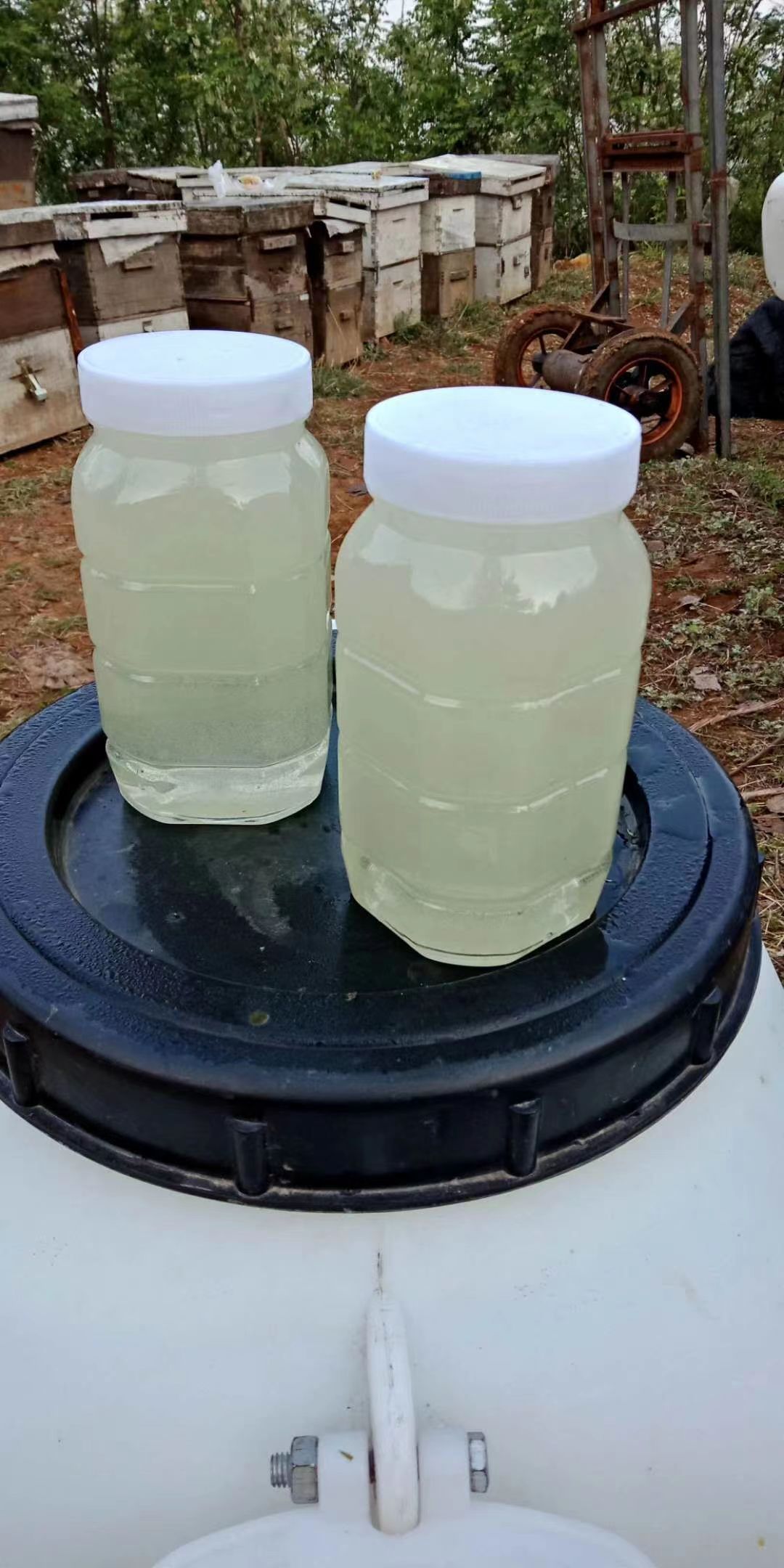 疫情放开后咽干轻微疼痛,疫情放开吃什么增加抵抗力