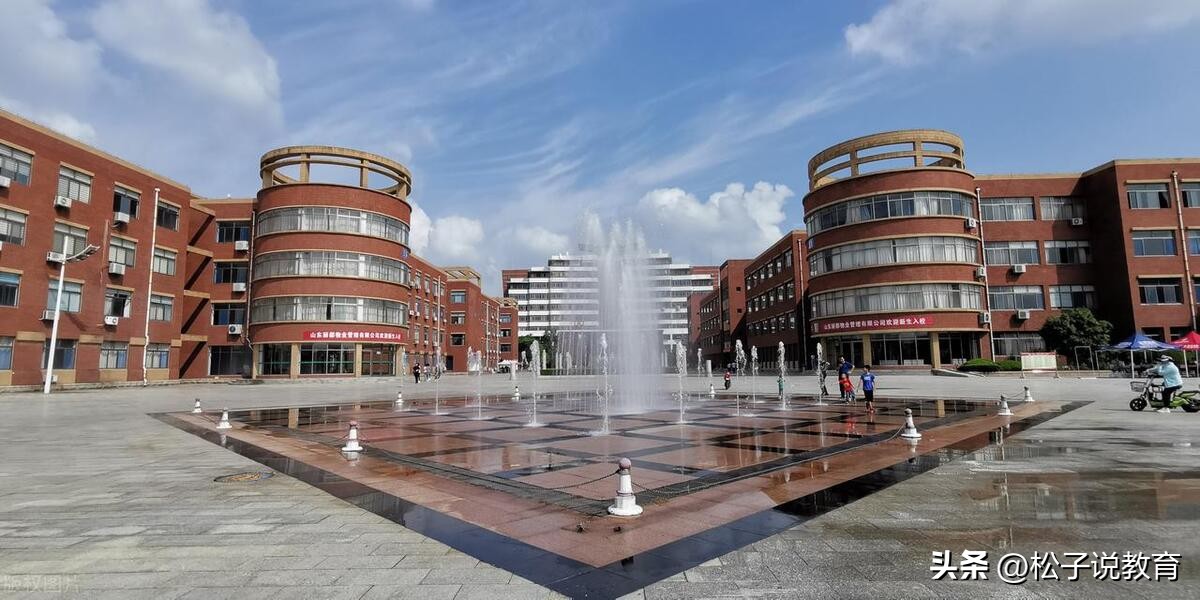 山东各地方学院,山东七所学院哪个好