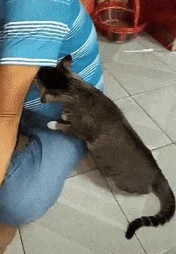 微信键盘智能输入法,pc端微信输入法好用吗