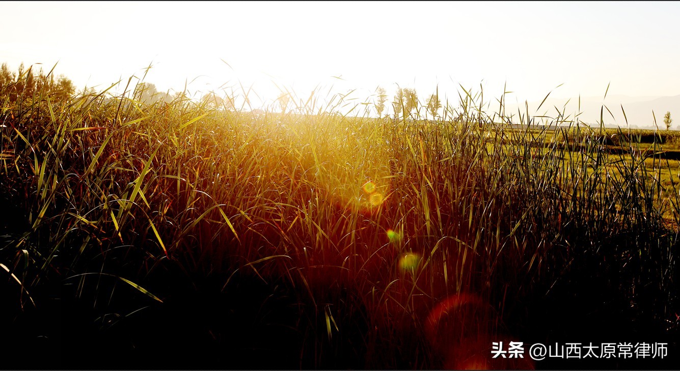 什么是严重损害法人债权人的利益,滥用法人独立地位和股东有限责任