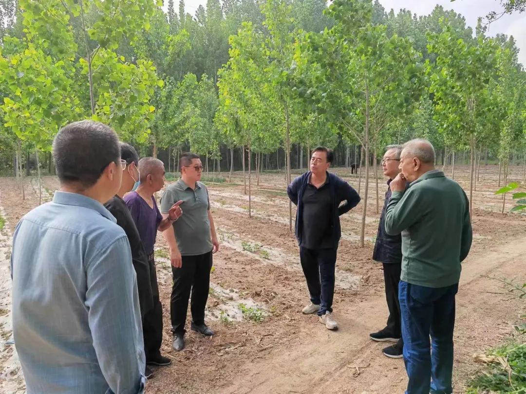 德州赵虎镇2024年规划,赵虎镇政府几点上班