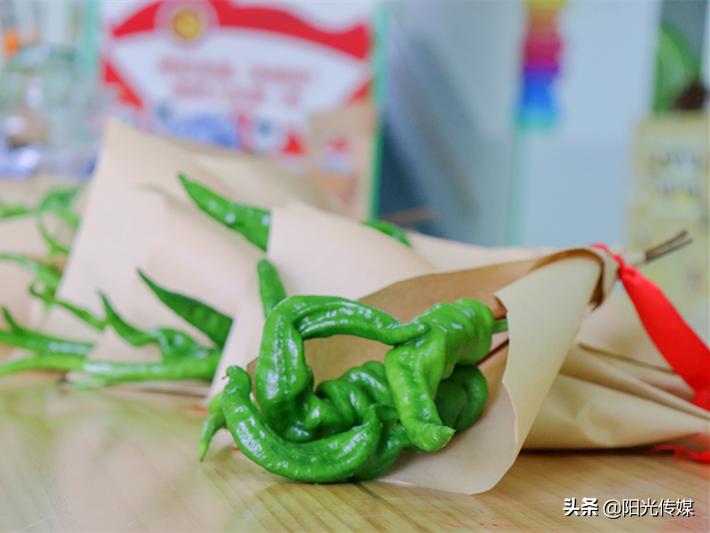 2024德阳公办幼儿园报名统计,德阳2024幼儿园招生信息一览表